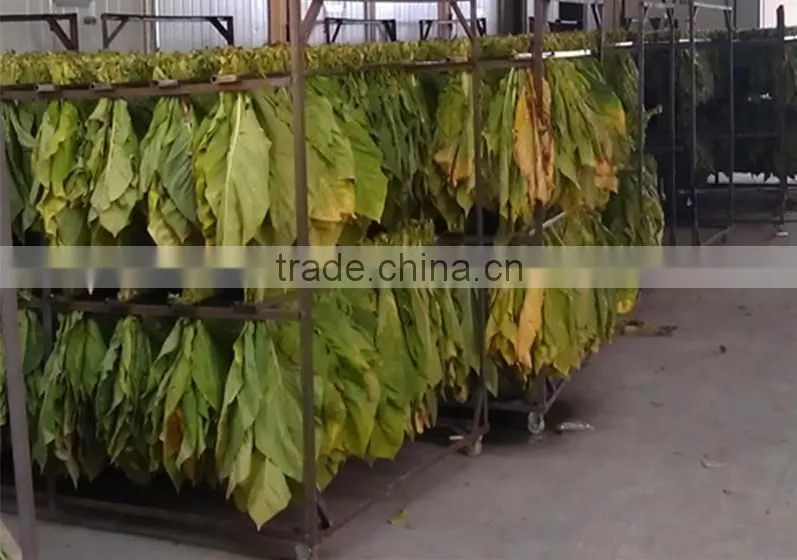vegetable and fruit drying conveyor belt dryer equipment machine for sale