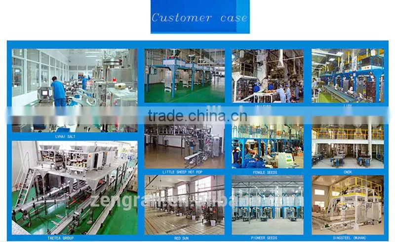 VFS7300GY liquid & oil packaging machine