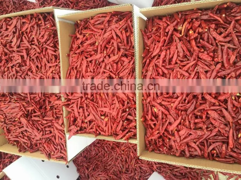 dried chilli