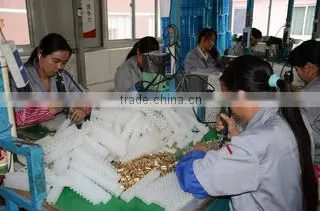 Zhejiang Jinghong Electric Co., Ltd. company overview - view 4