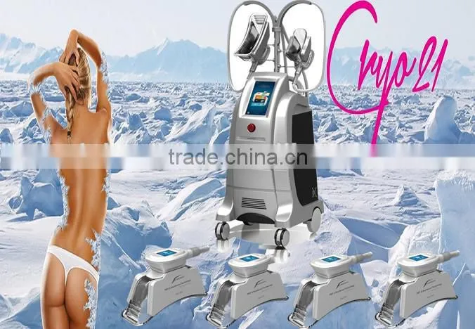 freezing fat cell slimming machine/cryo slimming machine/fat freeze slimming machine
