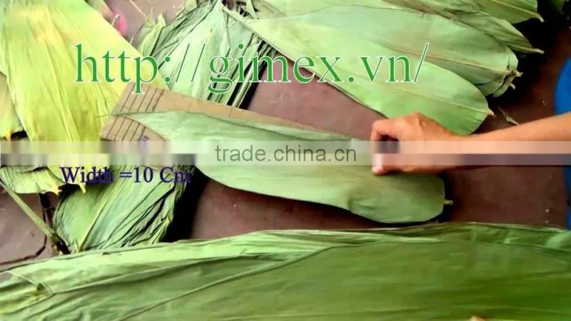 Bamboo leaf japan market; Bamboo leaves