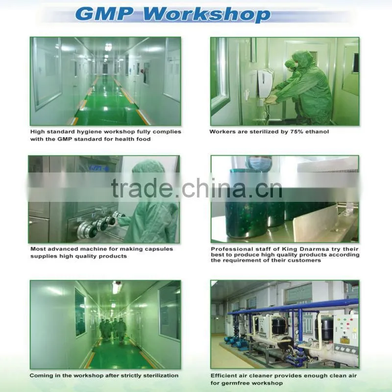 100% pure Chlorella algae powder and blue green algae powder