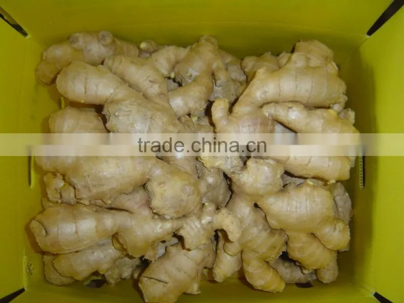 Chinese organic air dried ginger