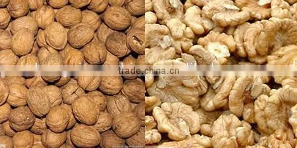 Dry walnut cashew sheller