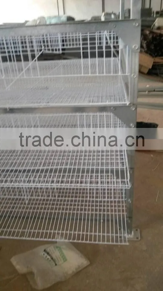 hot sale H type(6-tier) quail cage