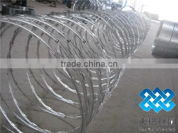 razor barbed wire fence