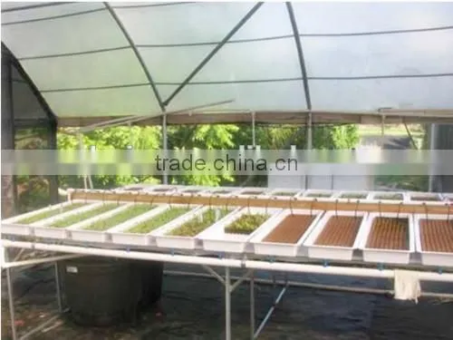 soilless culture substrate for lettuce, spinach etc seedings growing