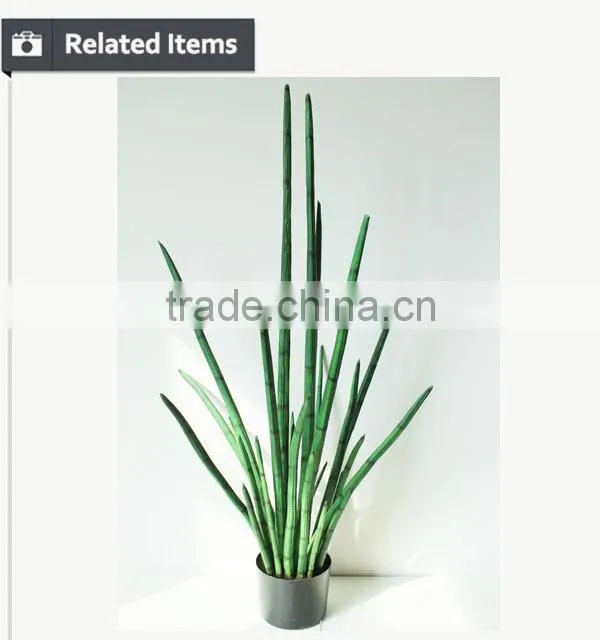 Manufacturing maguey garden decoration indoor decoration handmade plant for sale