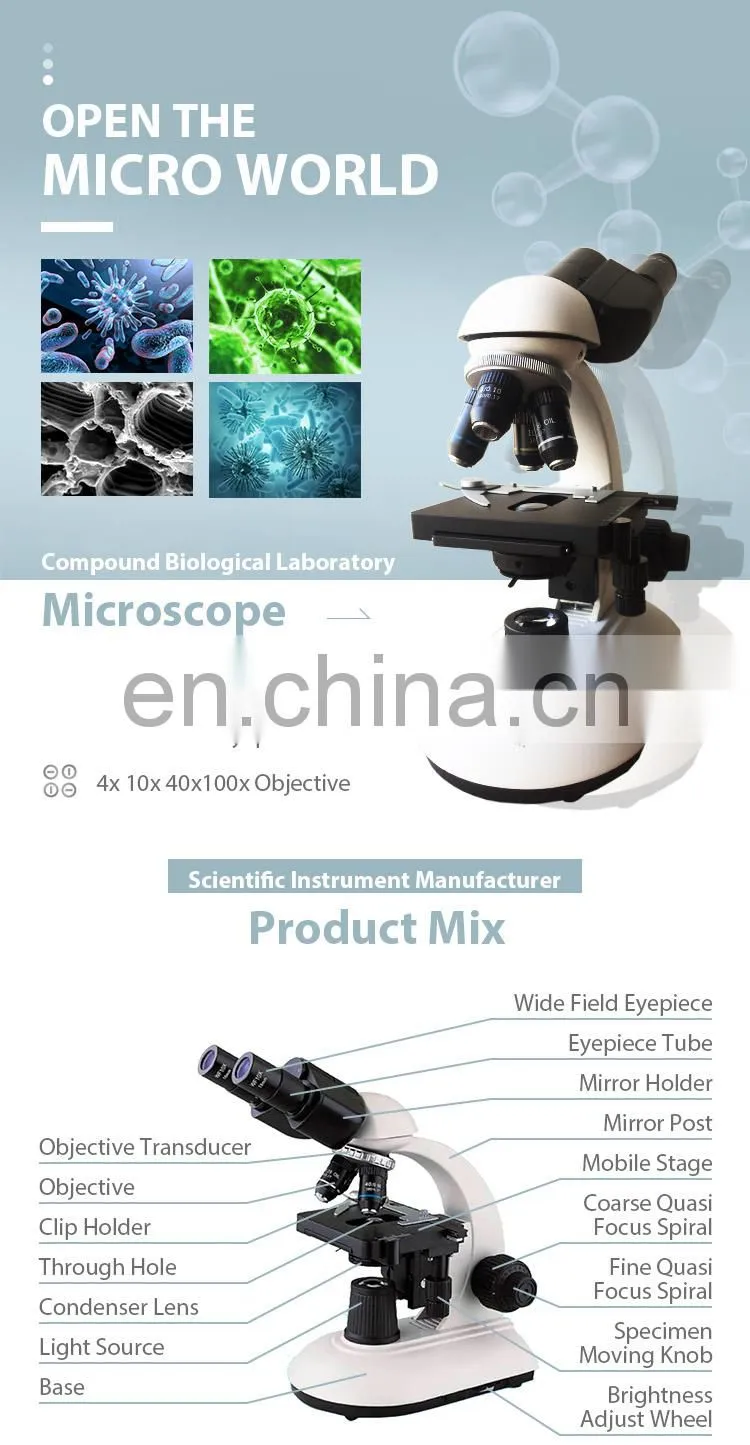 2020 China Manufacturer Price Binocular Biological Microscope
