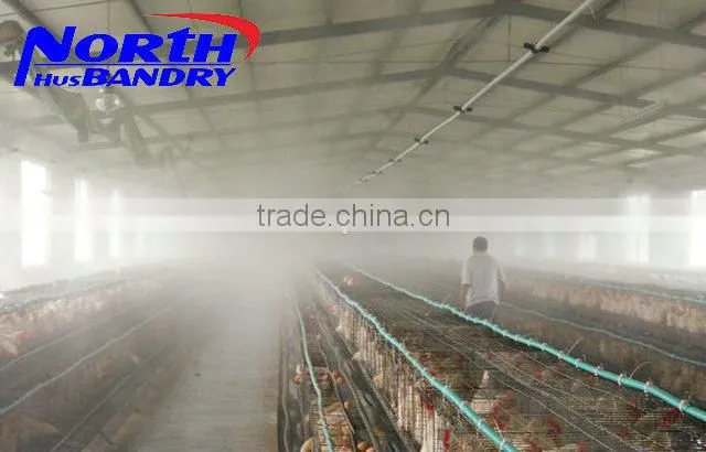Clean Plastic Poultry Slat Floor For Chicken