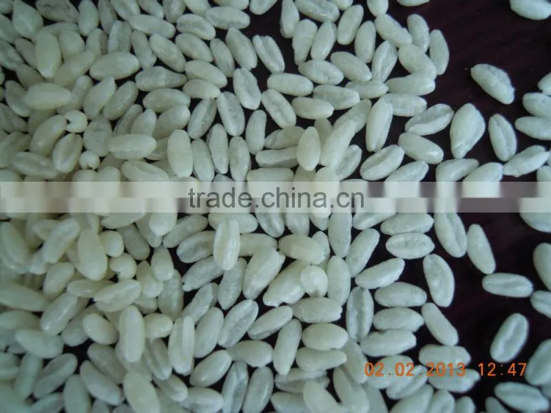 artificial rice processing line
