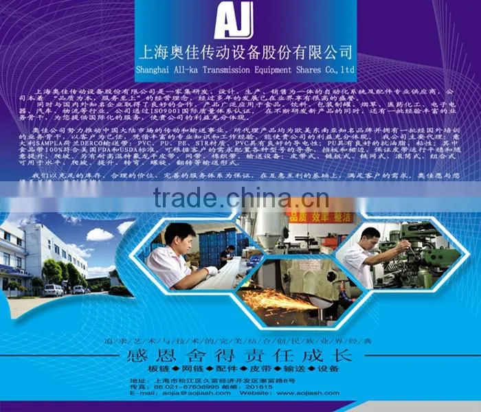 883 plastic ball bearing conveyor chains assembly line equipment