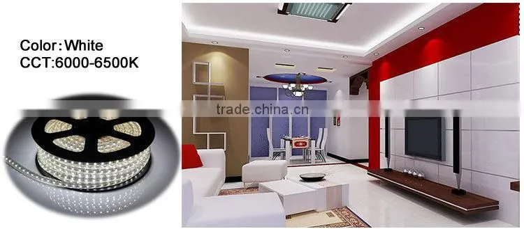 led rope light 5050