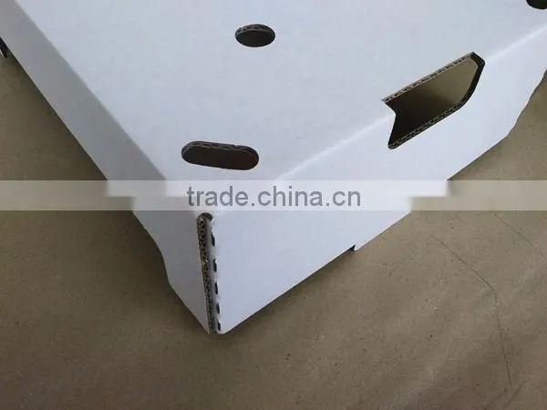 Best quality corrugated mango packing box