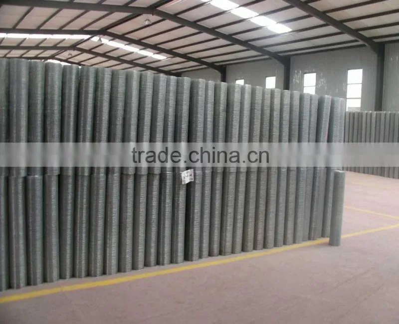galvanized iron wires/steel wire