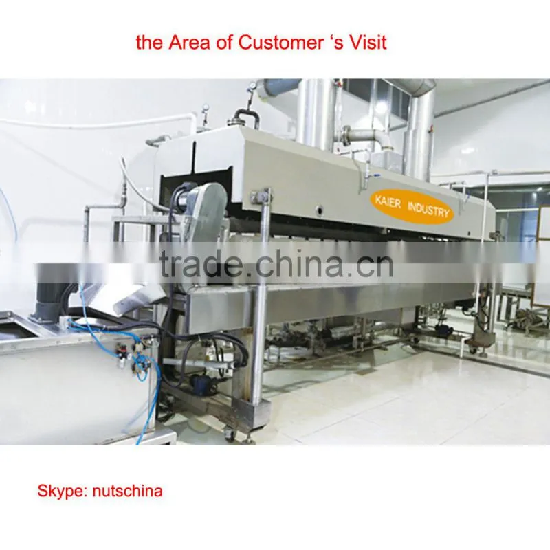 Automatic continuous frying machine (fryer)for peanuts ,cahsew nut, almonds