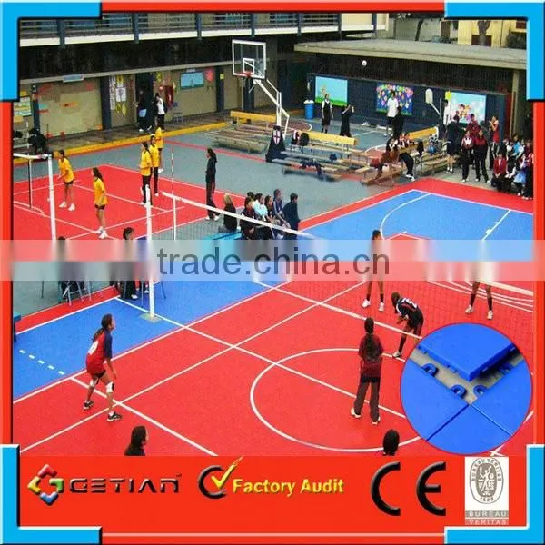 professional volleyball standard size court