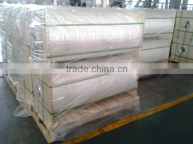 High Quality Silicone Coating Polyester Release Liner