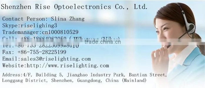 12V led garden spike light/led spot light