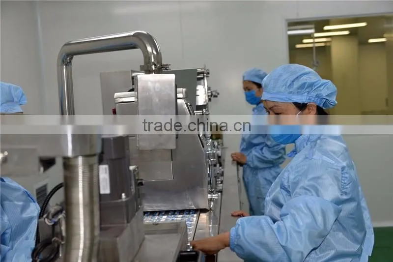 Automatic capsule Tablet Counting Production Line/ medicine pill counting line