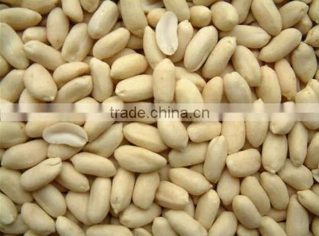 PEANUT BEADED PEANUT KERNEL