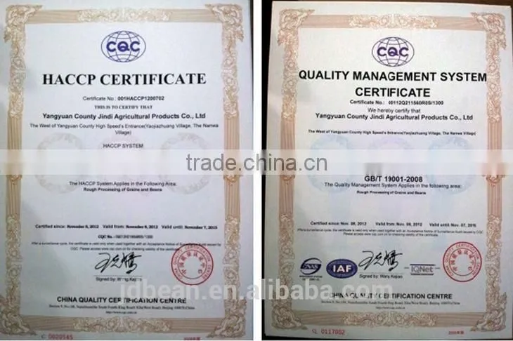 best quality chickpea market price HPS white chick pea beans