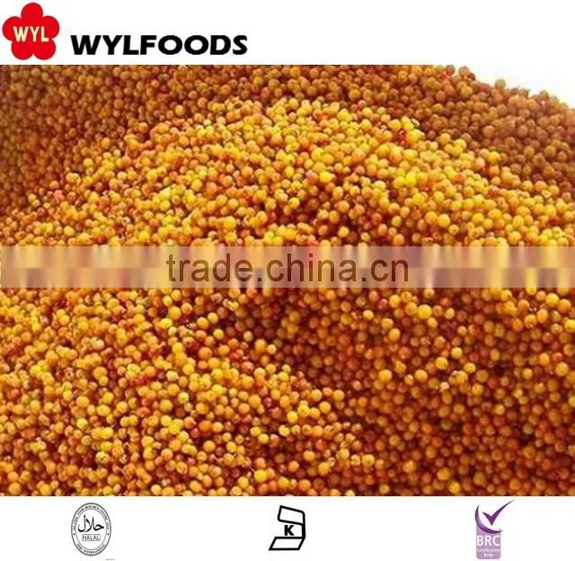 IQF china price for frozen Sea buckthorn high quality