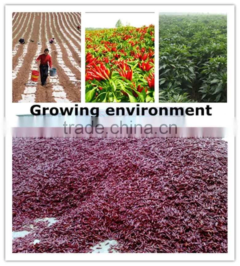 2015 Chinese dried chilli crushed, 2nd grade40-80mesh TOP Sanying red chilli pepper crushed free sample