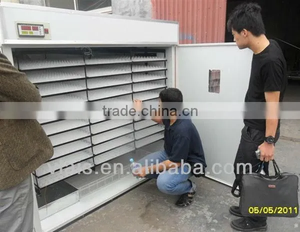 Safety automatic 110-240V 50-60hz chicken machine egg incubator V-8448