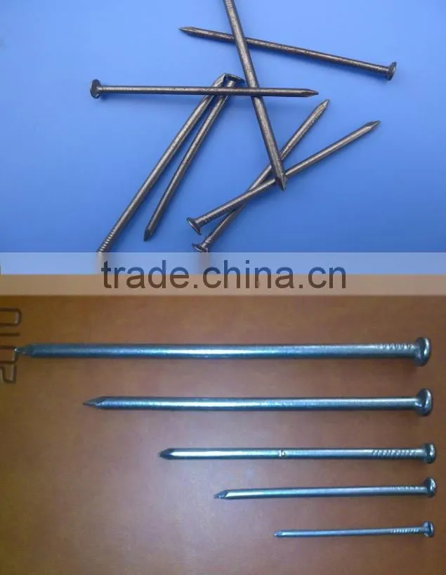 Common nail for construction