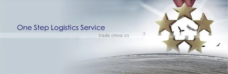 Hot Sale-Dongfeng 4X2 Double cab cargo truck Left Hand Drive
