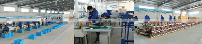 mini gasoline water aspirator for sale