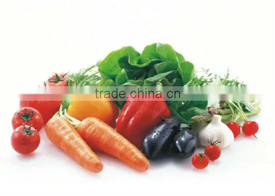 industrial commercial vegetable washer/bulk washing machines