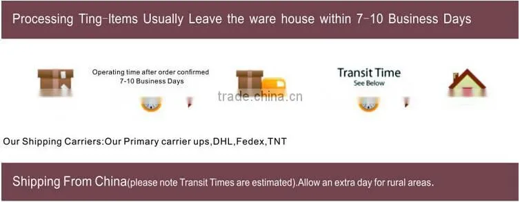plastic lunch box,clear plastic lunch boxes