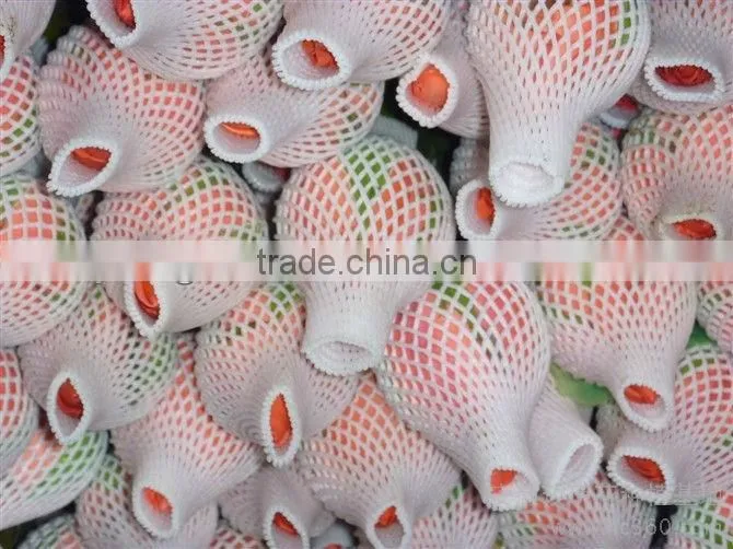 onions packing bags