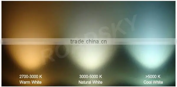 CFL Modules LED Lamp Street Manufacturer