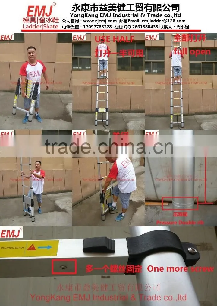 3.2M Aluminium telescopic ladder with carry bag
