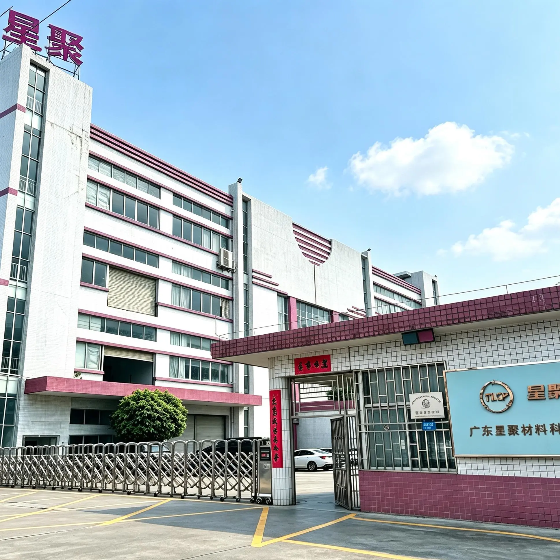 Guangdong Polystar Materials Technology Co., LTD. company overview - view 1