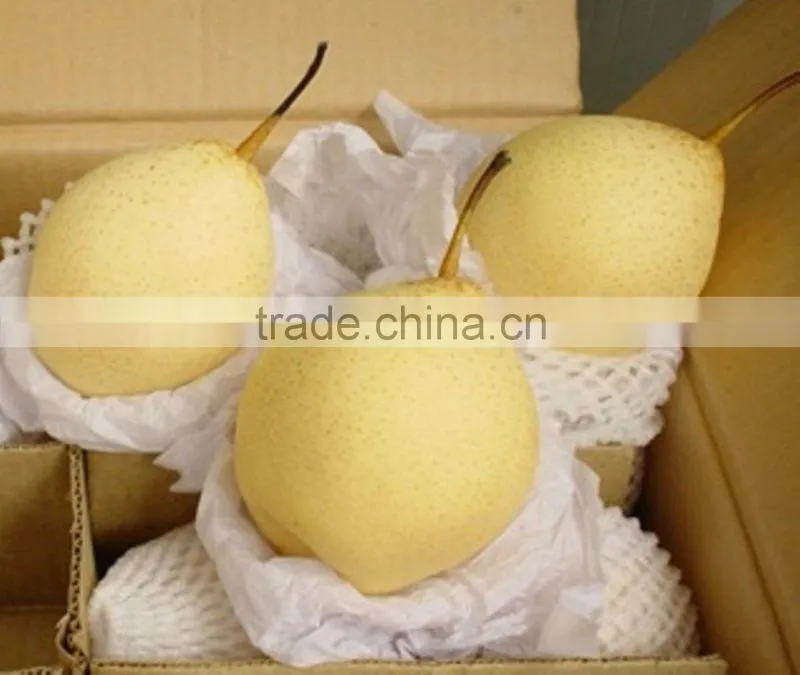 2014 Well-packaged New Fresh Ya Pear