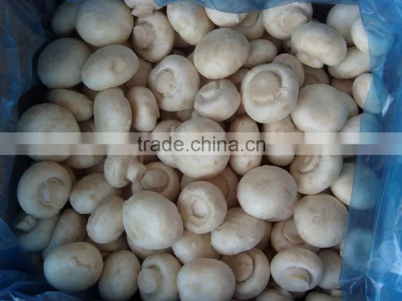 IQF Taro with best quality and hot price