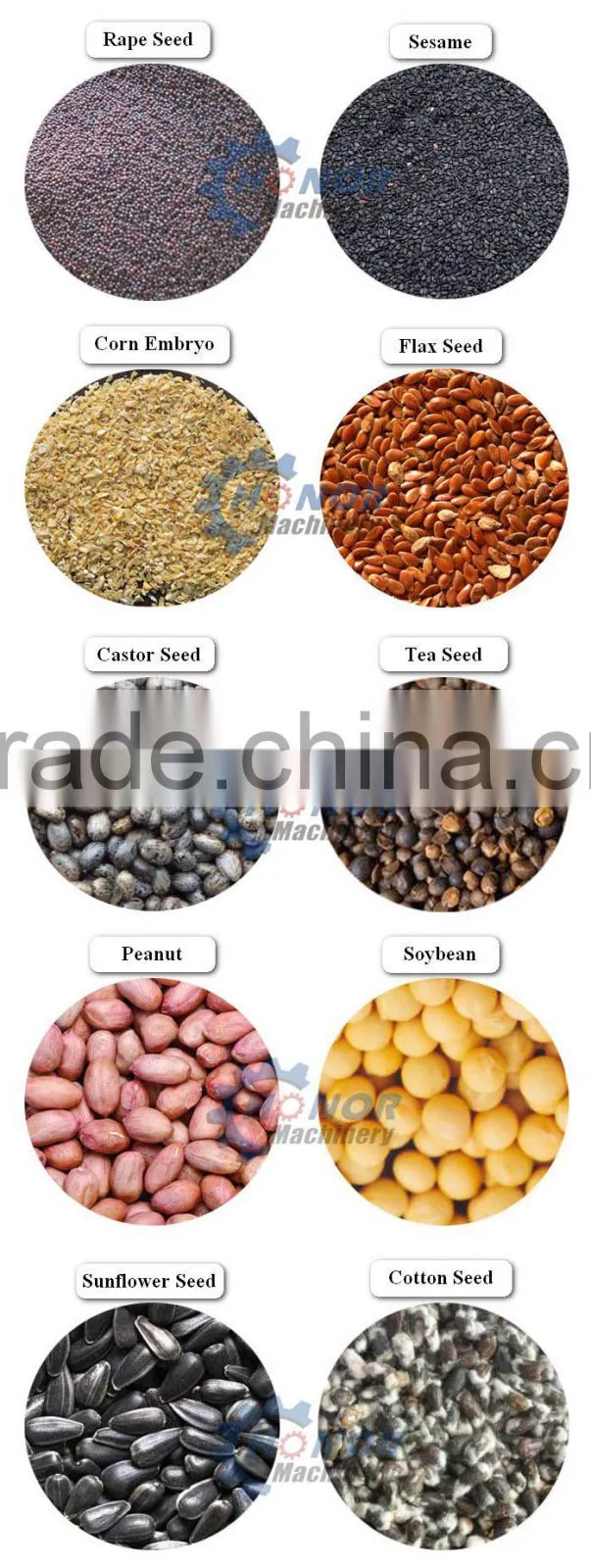 Stainless Steel Plant Seeds Oil Press Machinery Plant Oil Press Machine