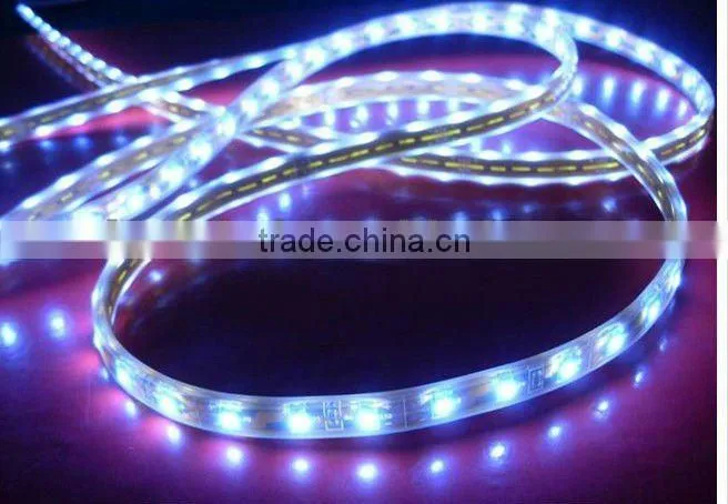 New arrival!!! SMD5050 High brightness Led Strip Light