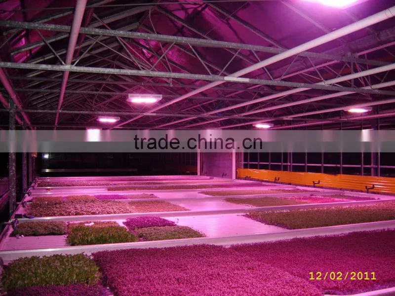 Wholesale grow light apollo series made in China
