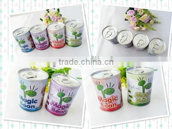 Cute egg magic bean for DIY planting