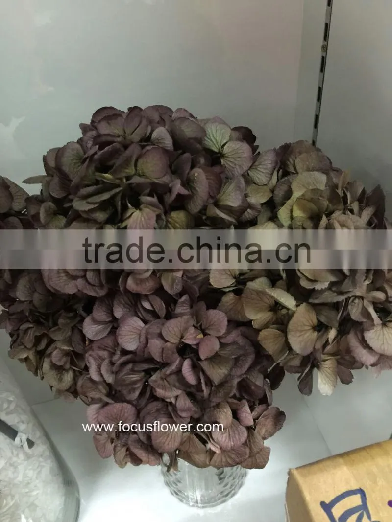 High Quality Fresh Preserved Flower Blue White Hydrangea Bouquet For Christmas