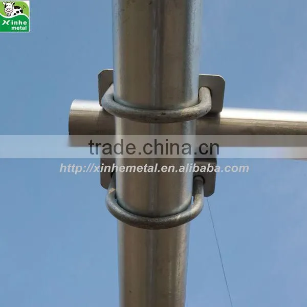 New design Cattle cow free stall cattle cubicles