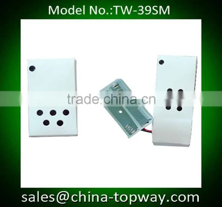 Mini digital recordable music box speaker