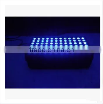 DMX Control 72pcs LED RGBW 4in1 LED Spot Light Stage Lighting