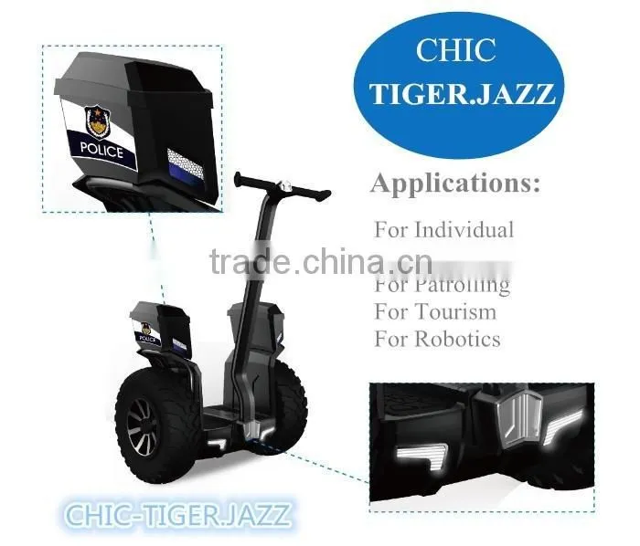 2016 new model 2 Wheel Electric Cruiser Self Balancing Board Scooter Factory Wholesale for patrol,cruise or beach.